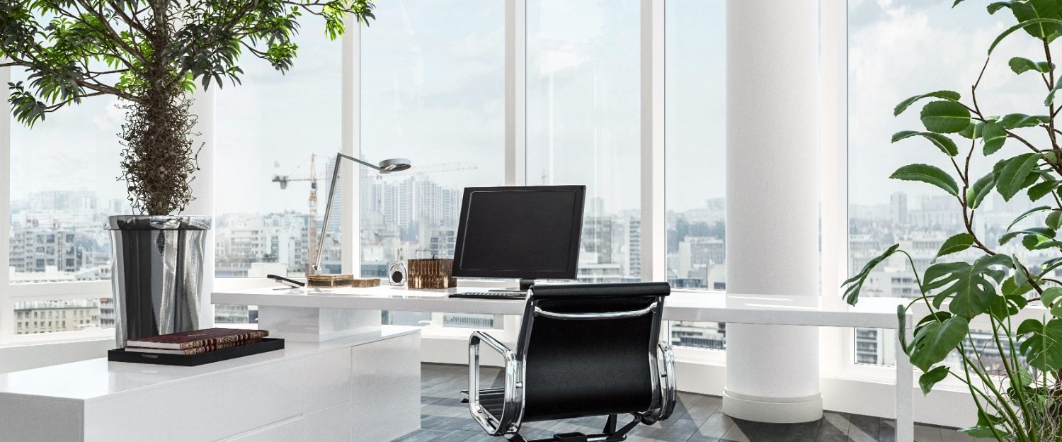 Bureau moderne lumineux avec vue, plantes et équipement de travail.
